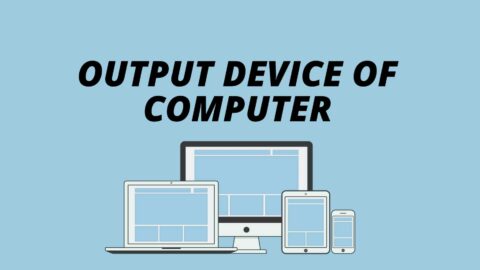 Output Device Of Computer, Detail Notes With Free PDF 2023 - Computer ...